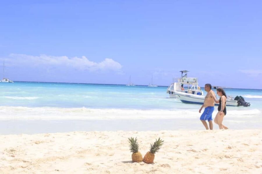 Punta Cana: Saona Island Catamaran Tour & Buffet Lunch - Pickup From Bávaro and Beyond: Your First Test of the Day