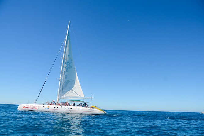 Punta Cana : Saona Island Day Tour - Key Points Worth Your Attention