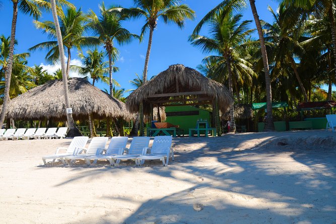 Punta Cana : Saona Island Day Tour - Guide Power: Organization, Photo Help, and a Friendly Crew