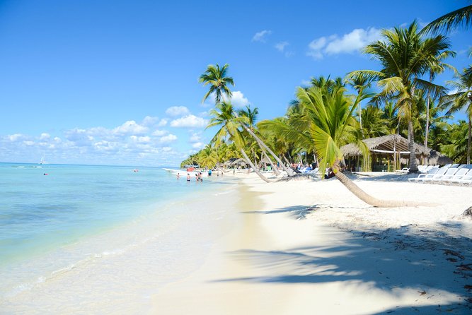 Punta Cana : Saona Island Day Tour - Group Size and Comfort: Maximum 60 People