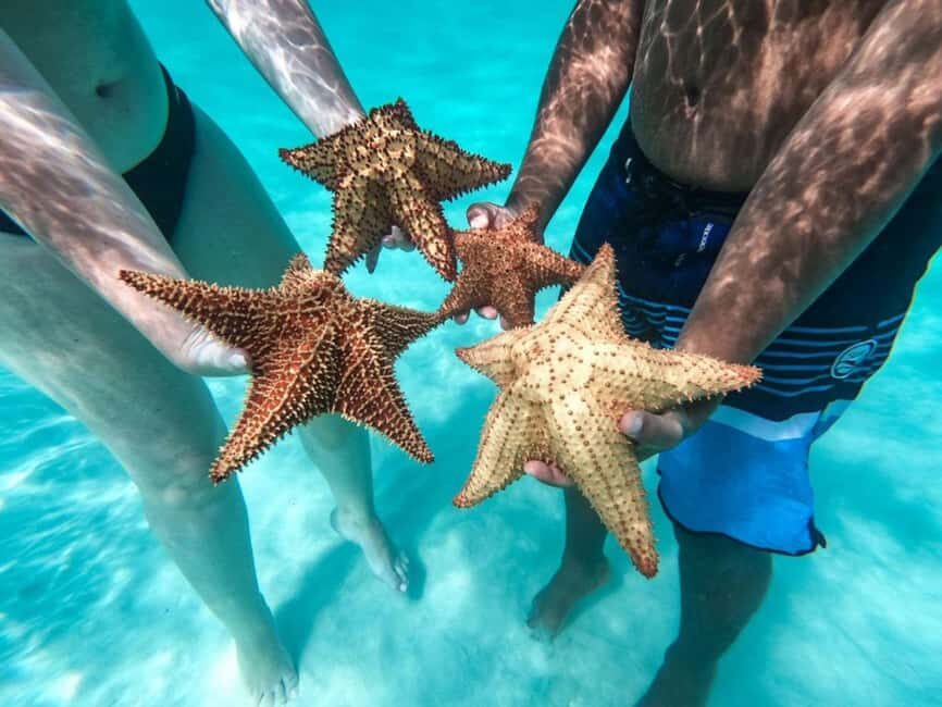 Punta Cana: Saona Island Day Tour and Catamaran Party - Language and Guide Support: English, Spanish, French