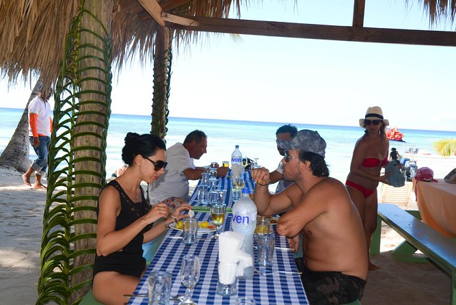 Punta Cana : Saona Island Day Tour - Private Air-Conditioned Pickup and the 7:00 AM Reality Check