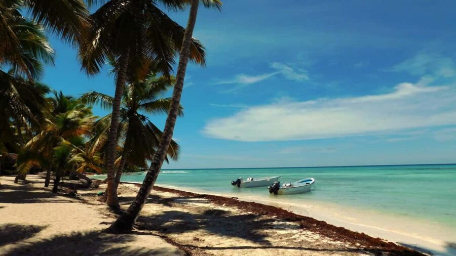 Punta Cana: Saona Island Day Trip - Key things to know before you go