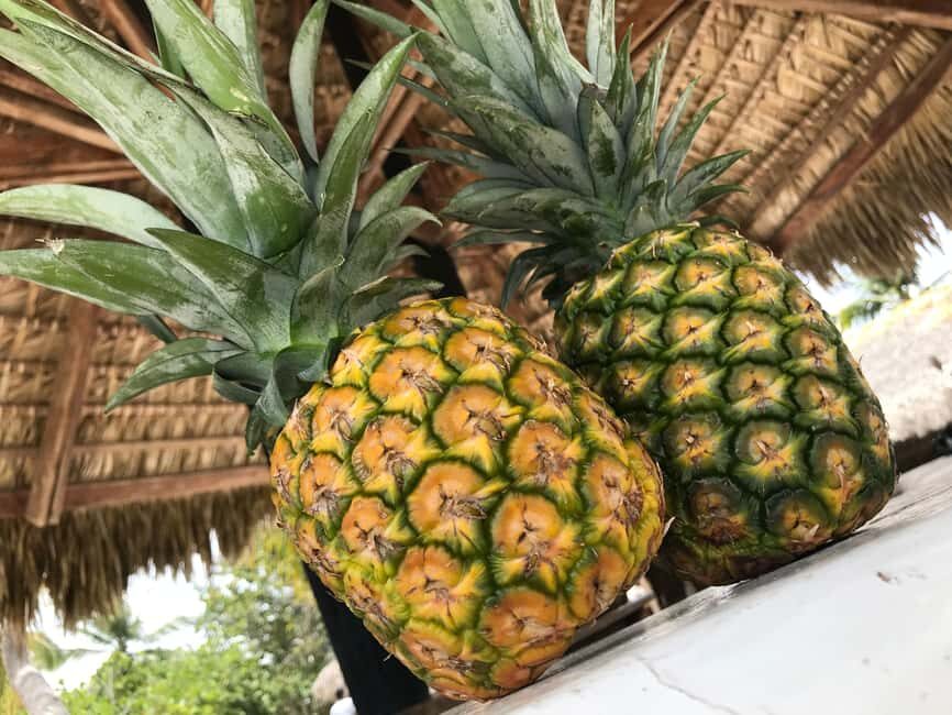 Punta Cana: Saona Island Day Trip - My booking advice: when this is a good idea