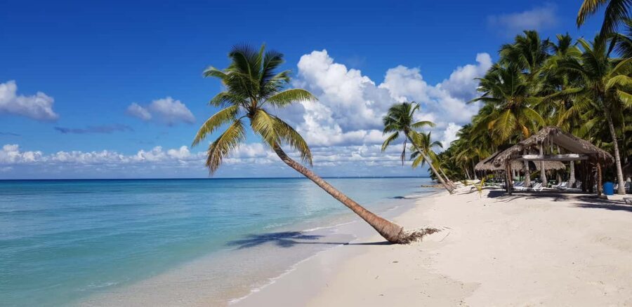 Punta Cana: Saona Island Day Trip - Getting there: transfers, boat jumps, and real-world timing