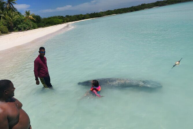 Punta Cana: Saona Island Food And Drink Catamaran Hotel Pickup - Who Should Book This Saona Catamaran Food and Drink Tour