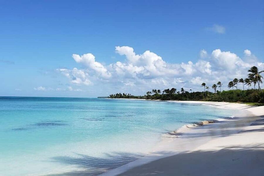 Punta Cana: Saona Island Full-Day Group Tour - Abanico Beach: lunch on Saona Island that actually fills you up