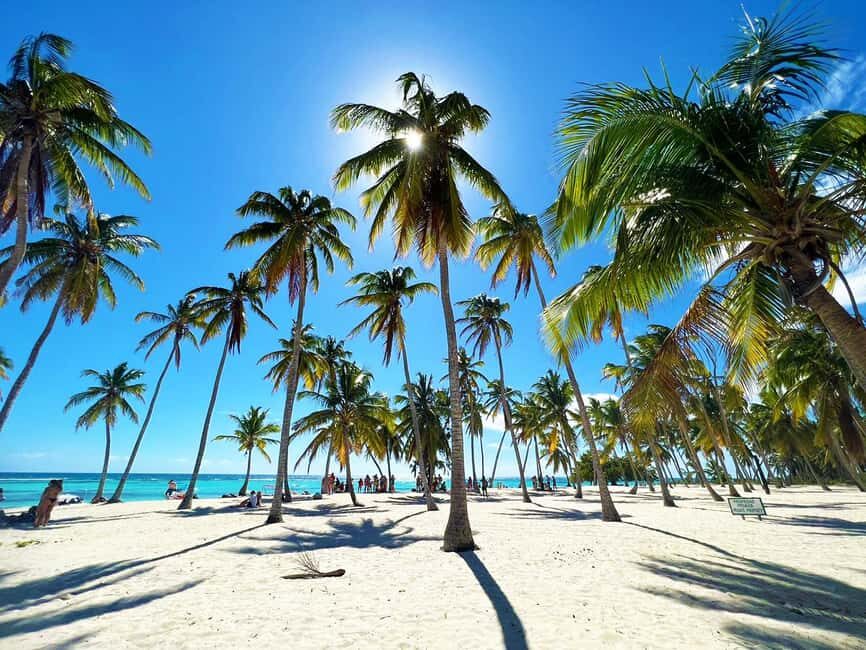 Punta Cana: Saona Island Premium 3 beaches - Small-group Saona: why this feels more like a beach day than a bus day
