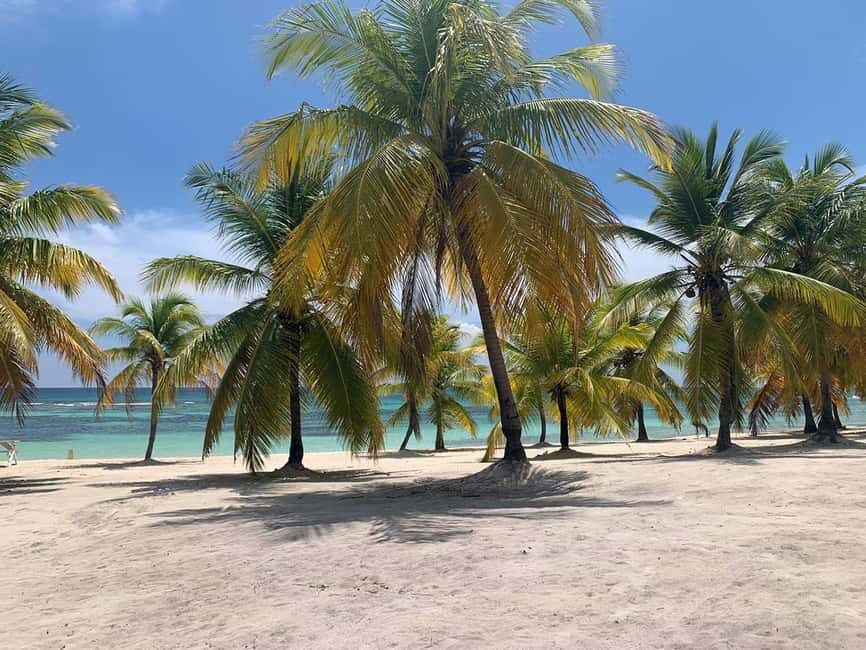 Punta Cana: Saona Island Premium 3 beaches - The Saona Island route: beaches, mangroves, and turtle sanctuary stops