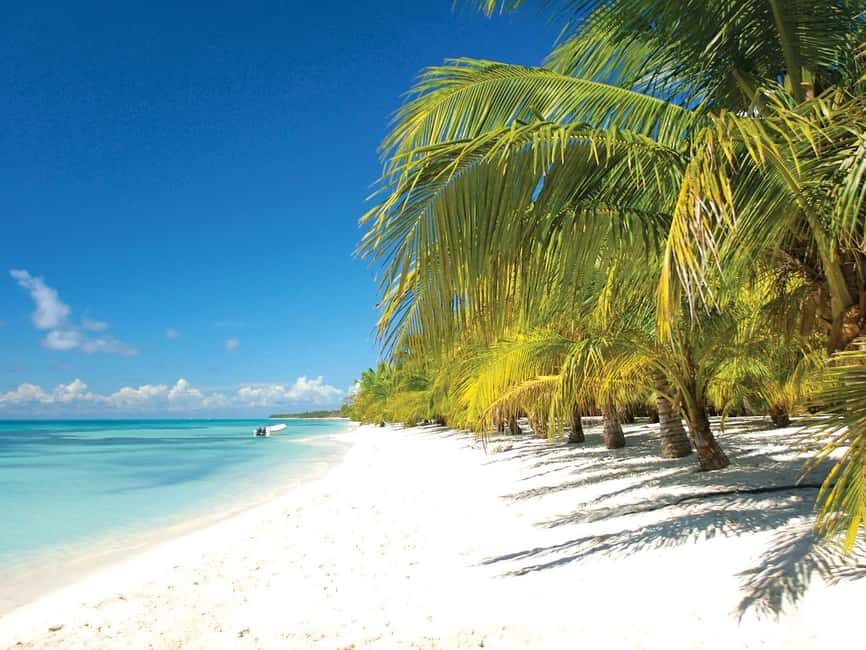 Punta Cana: Saona Island Speedboat and Catamaran Tour - The Natural Pool (Blue Lagoon) stop: shallow water, big payoff