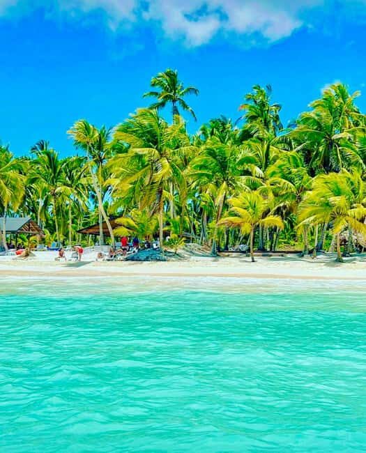 Punta Cana: Saona Island VIP | Private Beach, Open Bar & Lunch - Language, guides, and what to do if you need English support