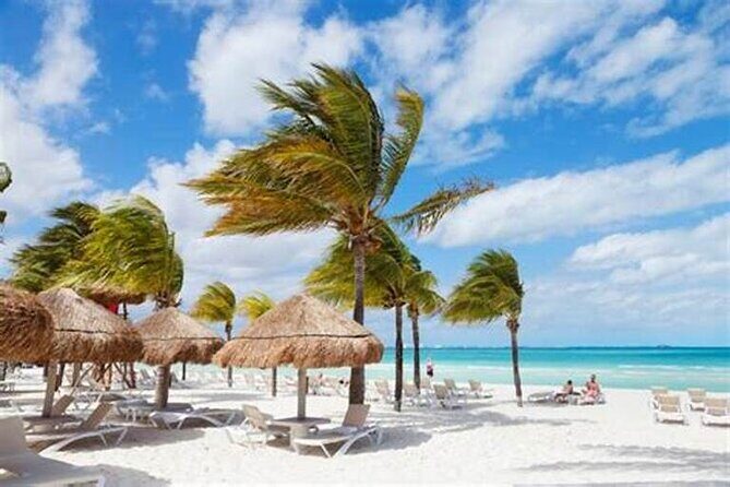 Punta Cana: Saône Island in Catamaran, Small Groups, With Food - Saona Island from Punta Cana: What Makes This Day Worth Planning