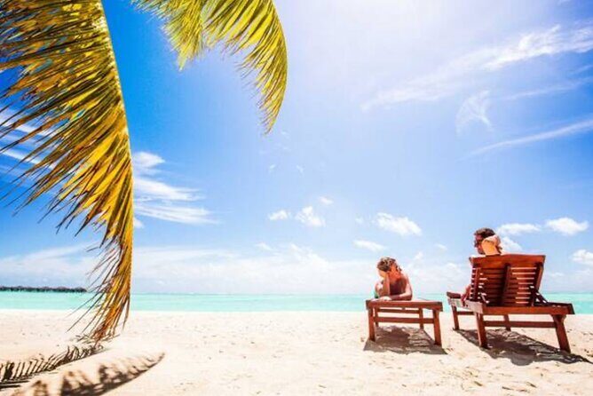 Punta Cana: Saône Island in Catamaran, Small Groups, With Food - Small-Group on Paper (Up to 60): What That Means for Your Actual Day