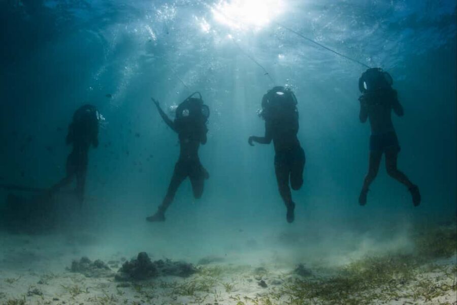 Punta Cana: Scoba Doo Discover the Underwater Wonders - Key Takeaways Before You Go