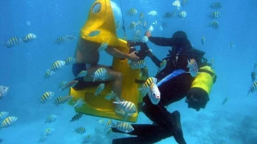 Punta Cana: Scoba Doo Discover the Underwater Wonders - A Realistic Look at the 4-Hour Flow