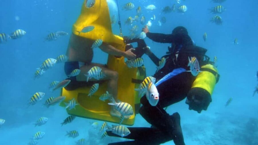 Punta Cana: Scoba Doo Discover the Underwater Wonders - Languages, Assistance, and Who It’s For