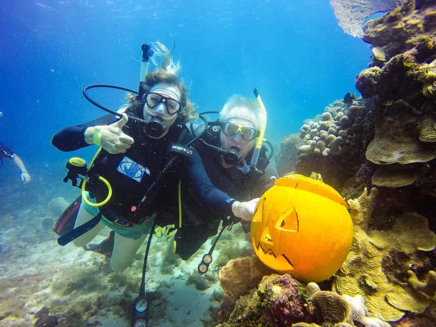 Punta Cana: Scuba Diving Adventure to Catalina Island - From Punta Cana to Catalina Island: the day’s real timetable