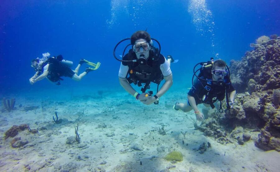Punta Cana: Scuba Diving Adventure to Catalina Island - The Wall underwater stop: drop-offs, sponges, and ray spotting