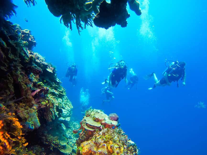 Punta Cana: Scuba Diving Adventure to Catalina Island - Catalina Island beach time, open bar, and snorkeling gear