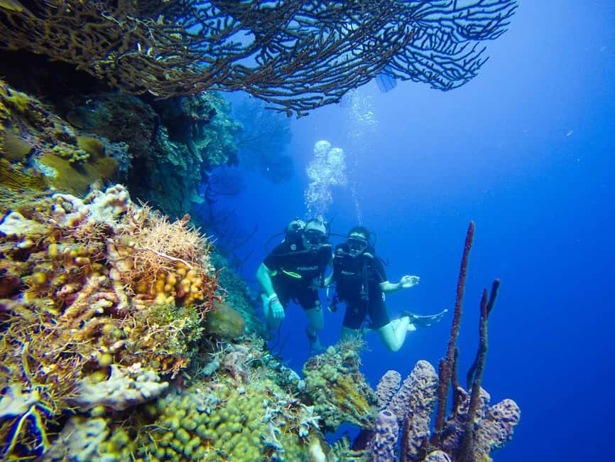 Punta Cana: Scuba Diving Adventure to Catalina Island - A few practical notes that can save your day