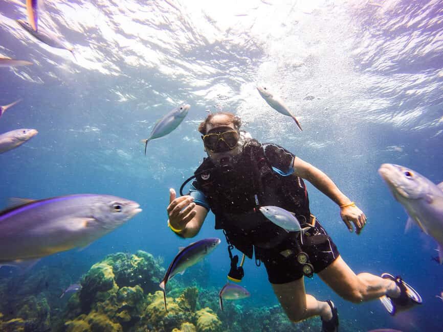 Punta Cana: Scuba Diving Adventure to Catalina Island - Meeting the PADI-certified team and nailing your safety setup