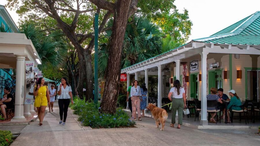 Punta Cana: Shopping Tour with Hotel Pickup and Drop-Off - Key Points That Matter Before You Go