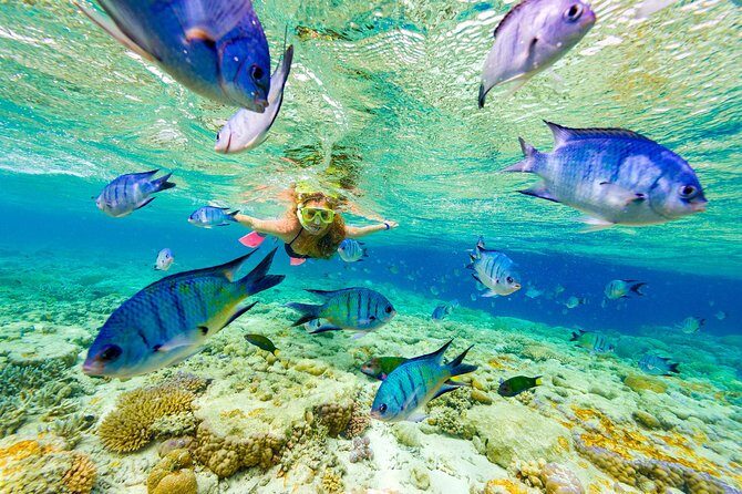 Punta Cana Snorkeling Cruise and Dune buggy Combo Adventure - Key points before you go
