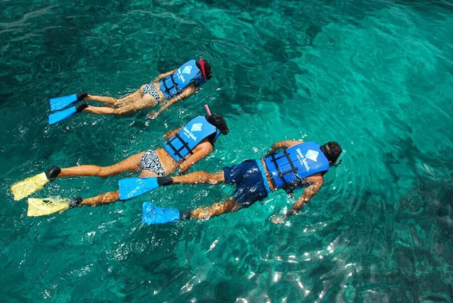 Punta Cana: Speed Boat Ride & Snorkel Adventure - Who This Tour Fits Best (and Who Should Skip It)