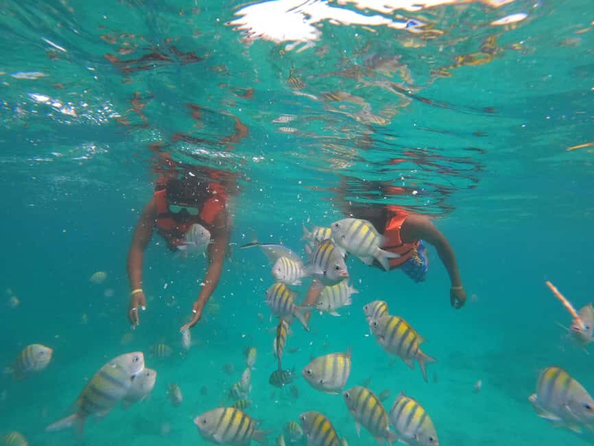 Punta Cana: Speed Boat Ride & Snorkel Adventure - Should You Book Punta Cana Speed Boat Ride & Snorkel Adventure?