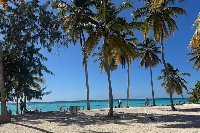 Punta Cana Speed Boat to Saona Island with Lunch & Natural Pools - Natural pools near Palmilla: where the starfish spotting actually happens