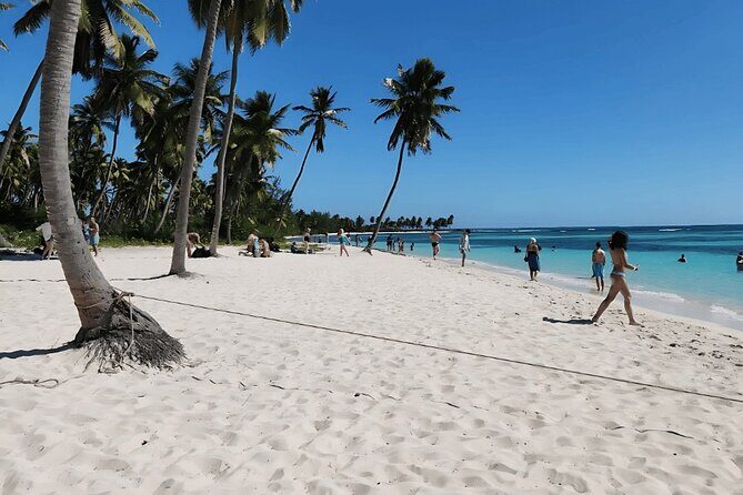 Punta Cana Speed Boat to Saona Island with Lunch & Natural Pools - Isla Saona free time: beaches, palms, and how to make the most of it