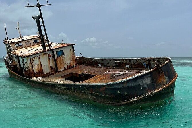 Punta Cana Speed Boat to Saona Island with Lunch & Natural Pools - Who this Saona speed boat tour fits best (and who should pass)