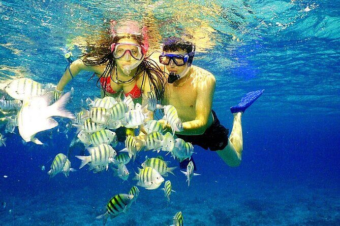 Punta Cana Speed Boat Tour and Snorkeling - SNUBA-style marketing vs what you may actually do in the water