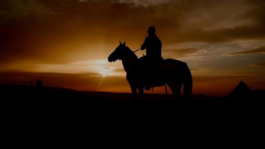 Punta Cana: Sunset Horseback Ride in Macao Beach and Forest - Who This Sunset Ride Suits (and Who Might Want Another Option)