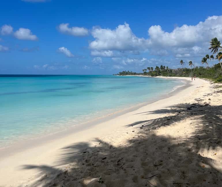 Punta Cana: Three Treasures of Saona - Palmilla, Pueblo & Canto de la playa - The “Three Treasures” Saona route: why it works