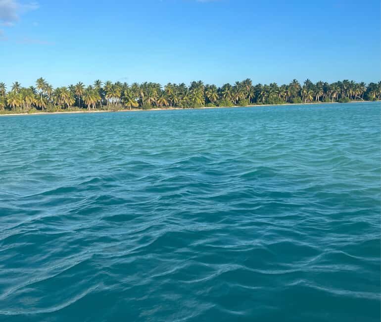 Punta Cana: Three Treasures of Saona - Palmilla, Pueblo & Canto de la playa - Getting there from La Romana and Punta Cana without losing your day