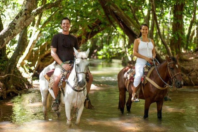 Punta Cana to Samana: El Limon Falls and Bacardi Island - Who should book this tour, and who should pass