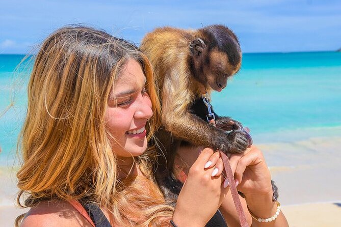Punta Cana Tour in Atv + Horseback Riding Pick up Hotel - Logistics that can make or break the night