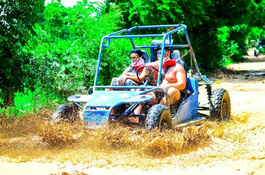 Punta Cana: Tour in buggy From Hotel impressive Punta cana - The route through coffee and cocoa country