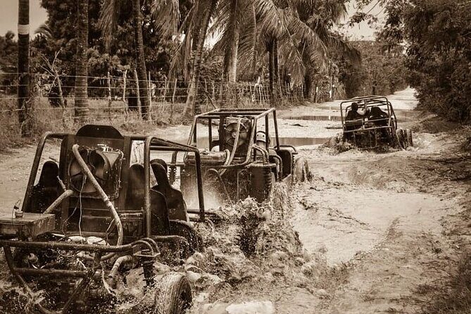 Punta Cana: Ultimate Dune Buggy Experience in Macao Beach Caves - Horseback riding: confirm what you’re really buying