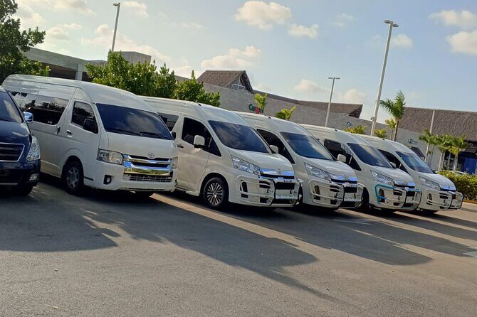 Punta Cana VIP Private Transfer Service - Key Points You’ll Care About