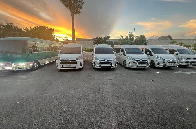 Punta Cana VIP Private Transfer Service - Mobile Ticket and Confirmation: Less Paper, More Motion