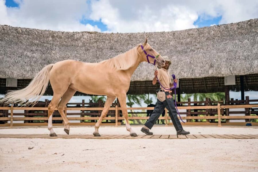 Punta Cana: Xploration Animal Park Bus Tour with Encounters - The Farm-Time Rhythm: Snacks, Drinks, and Finding Your Best Moments