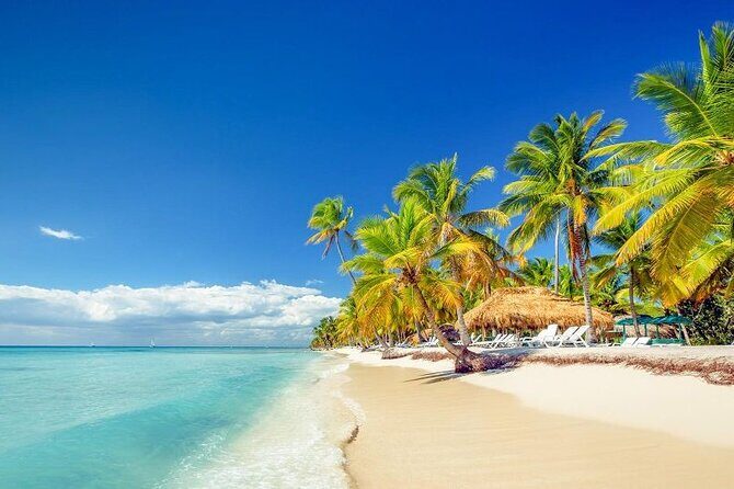Punta Cana:Exclusive Private Tours for Groups of Up to 7 People - Pickup coverage: Bávaro, Cap. Cana, and Uvero Alto