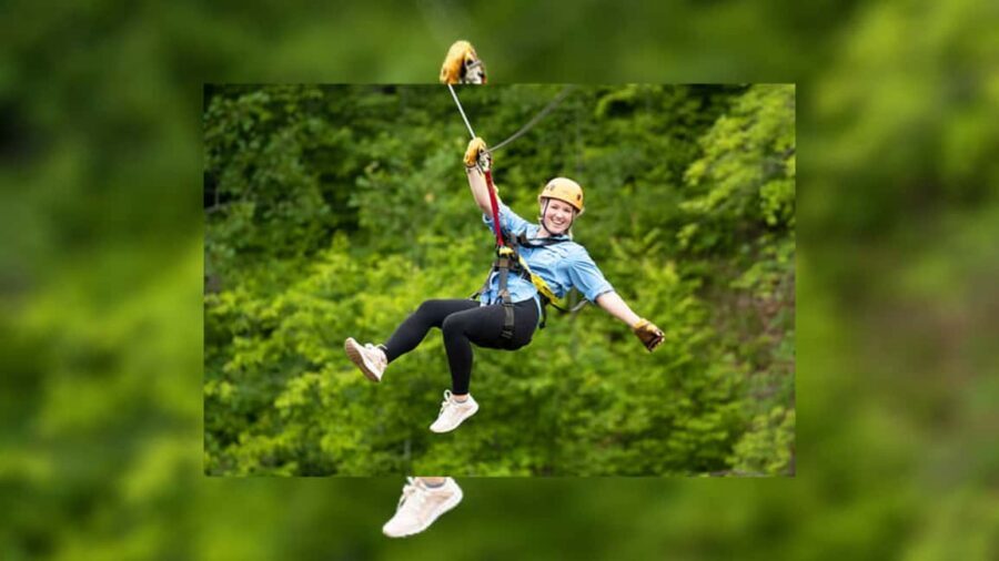 Rainforest Ziplining Adventure - Key highlights at a glance
