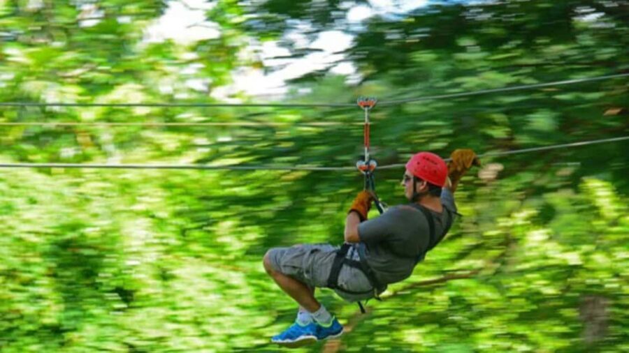 Rainforest Ziplining Adventure - Eight Cables, Long Runs, and Around 55 km/h Views