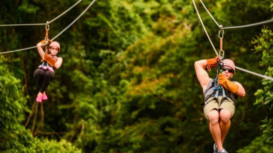 Rainforest Ziplining Adventure - What to Look For in the Tropical Forest (Without Missing Your Turn)