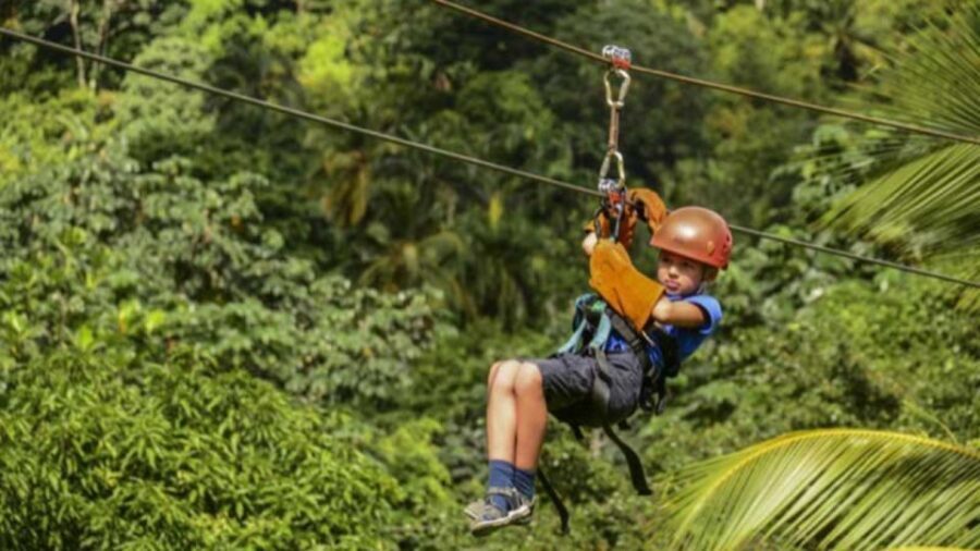 Rainforest Ziplining Adventure - Who This Adventure Fits Best (and Who Should Skip It)
