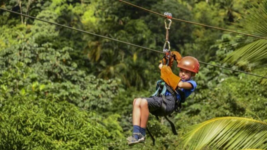 Rainforest Ziplining Adventure - Price and Value: Is $80 Worth 4 Hours?