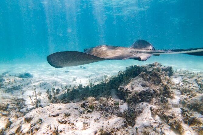 Reef Explorer Half Day Trip - Why this reef-and-water-sports mix works in 3.5 hours
